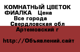 КОМНАТНЫЙ ЦВЕТОК -ФИАЛКА › Цена ­ 1 500 - Все города  »    . Свердловская обл.,Артемовский г.